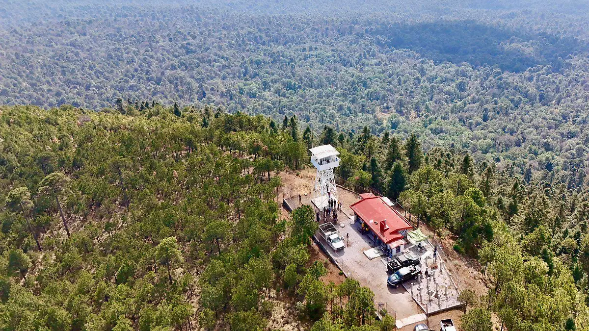 bosque morelos Cortesía Sedema